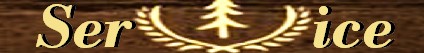 Ser           ice